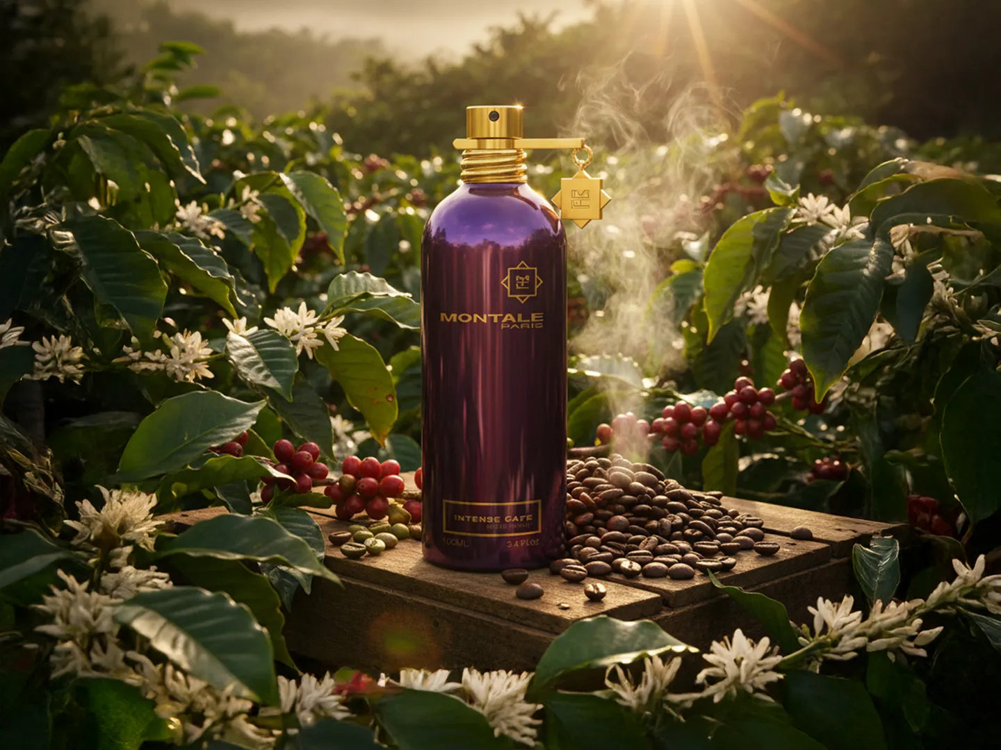 Montale Paris