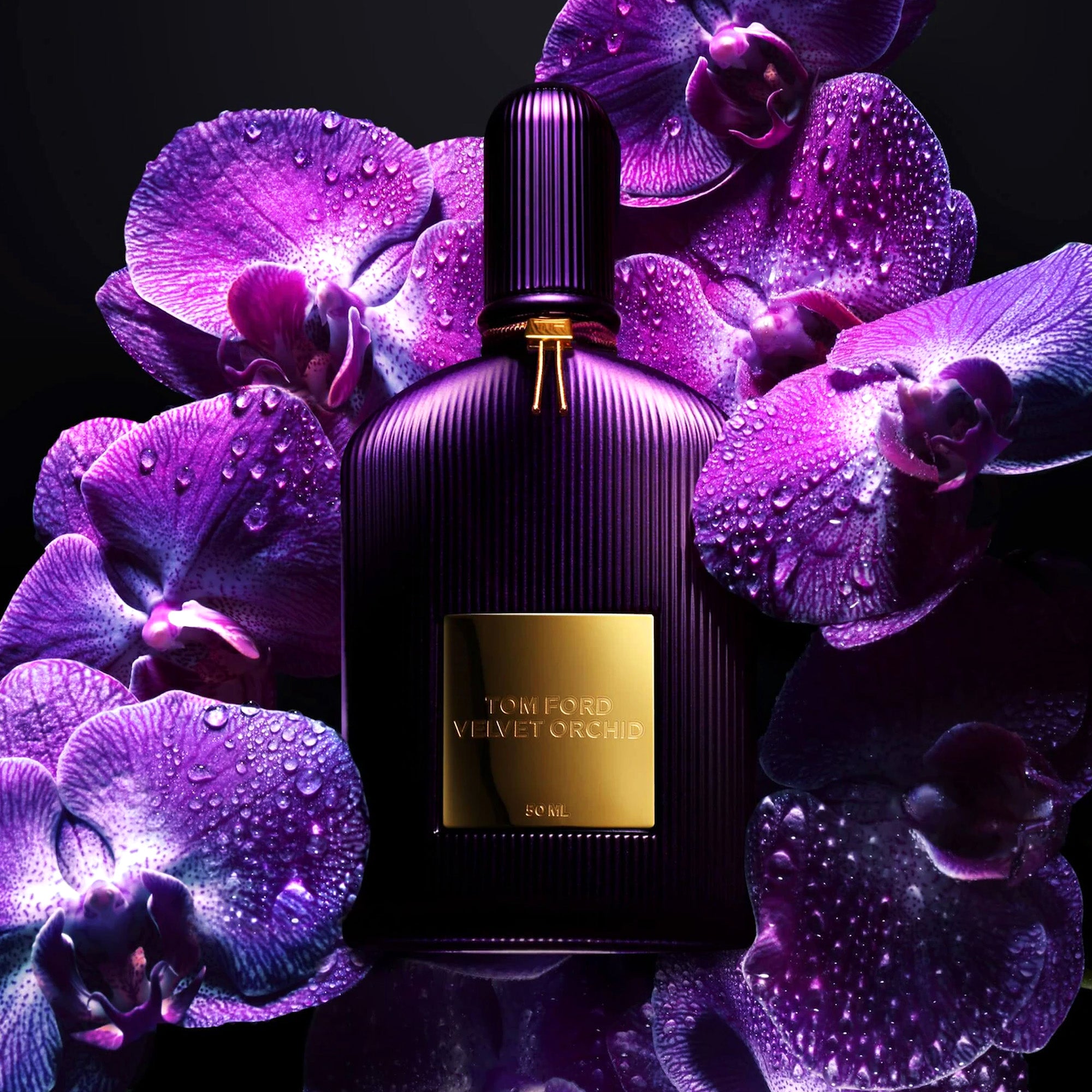 Tom Ford Velvet Orchid Edp 100ml Mujer