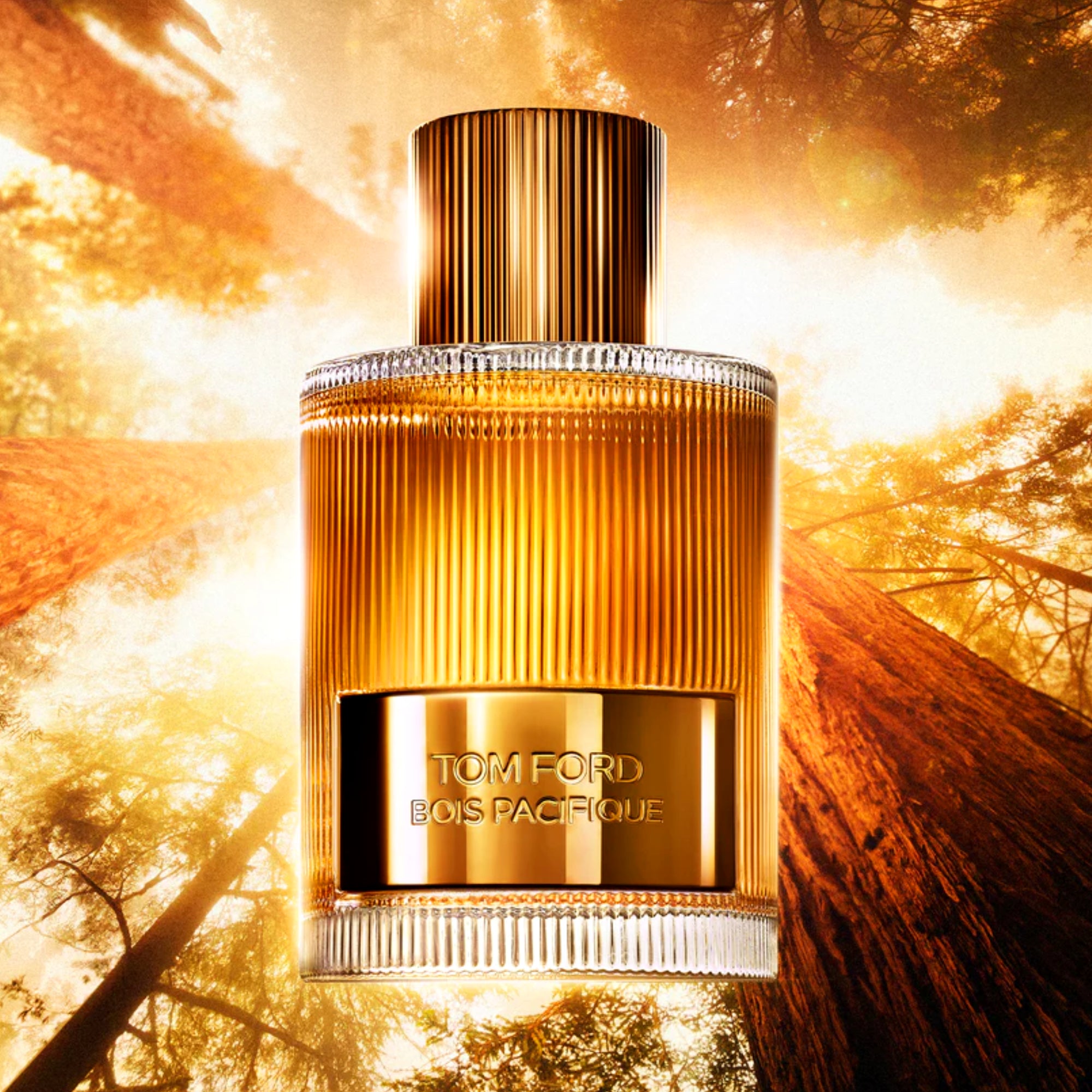 Tom Ford Bois Pacifique Edp 100ml Hombre